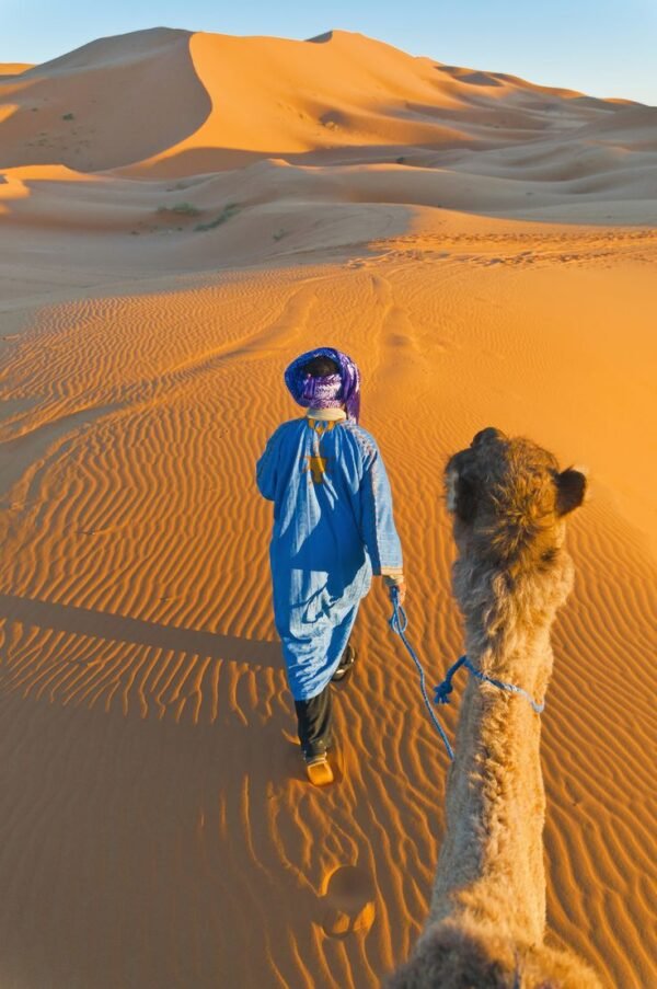 Moroccan Desert Adventure - Image 2