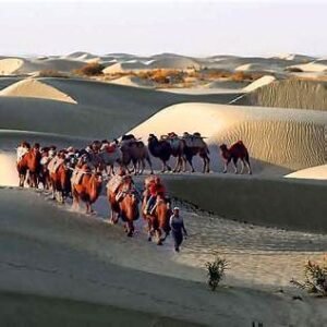 Silk Road Caravan Tour - 14 Days