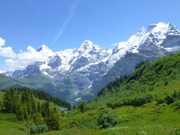 Swiss Alps Hiking Tour
