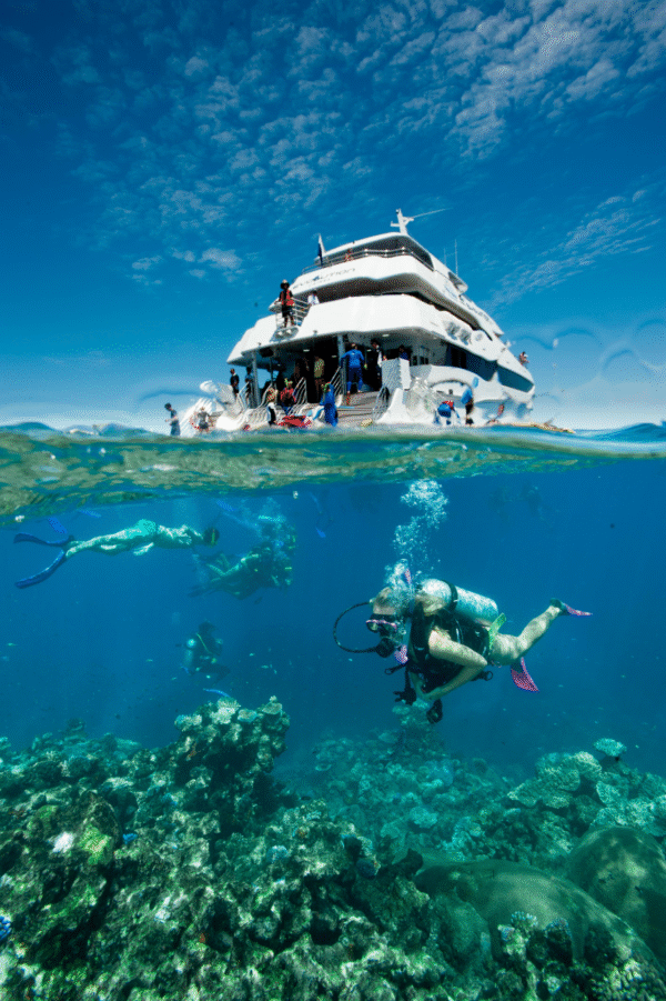 Australia Great Barrier Reef - 7 Days - Image 2