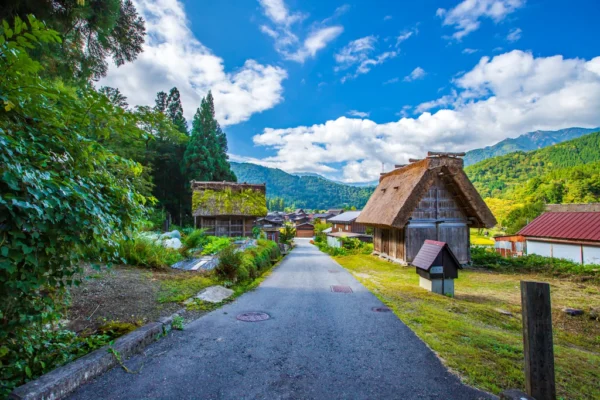 Rural Japan Exploration - 7 Days